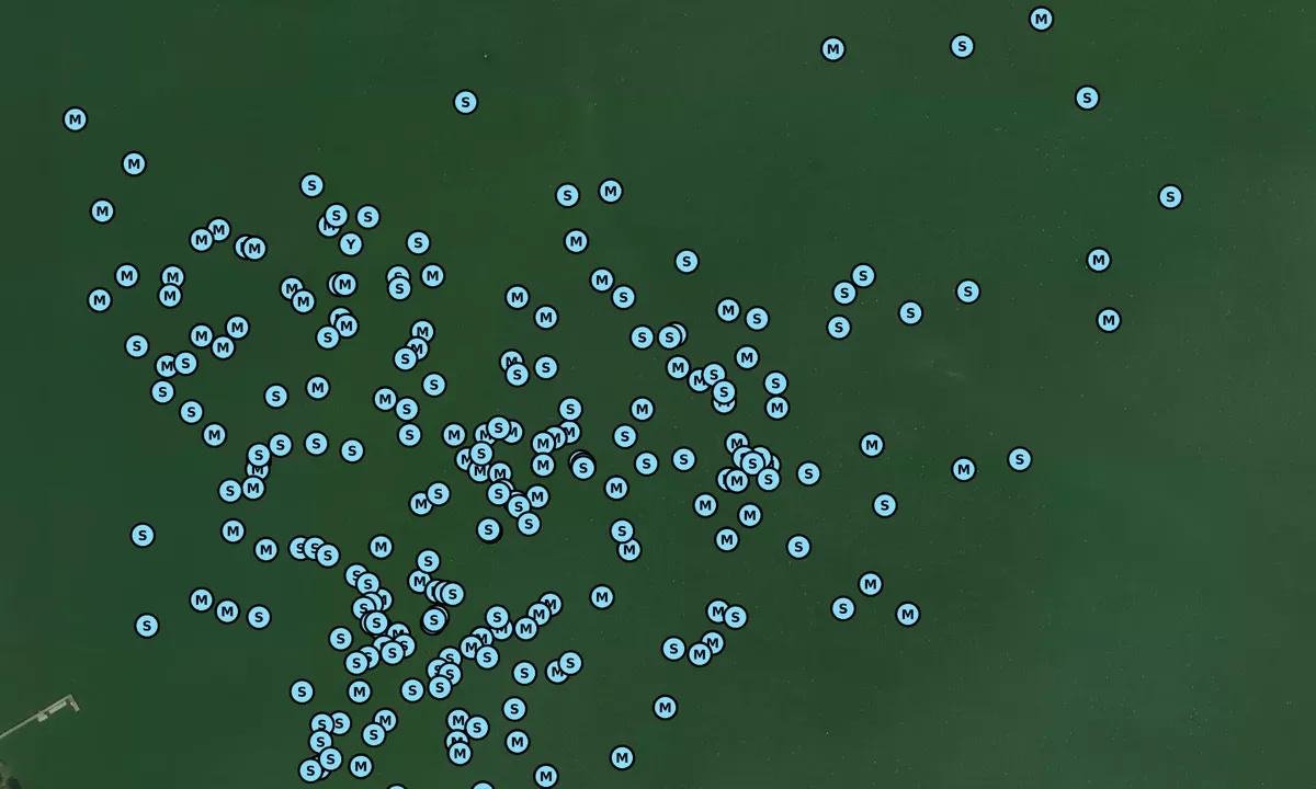 Satelite image of Trippe Creek - 1