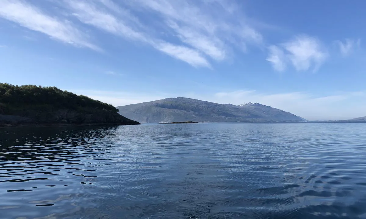 Tro: {"base": "no", "no": "Utsikt s\u00f8rover og ut av havna", "se": "Utsikt s\u00f6derut och ut fr\u00e5n hamnen", "en": "View southward and out of the harbor", "da": "Udsigt sydp\u00e5 og ud af havnen"}