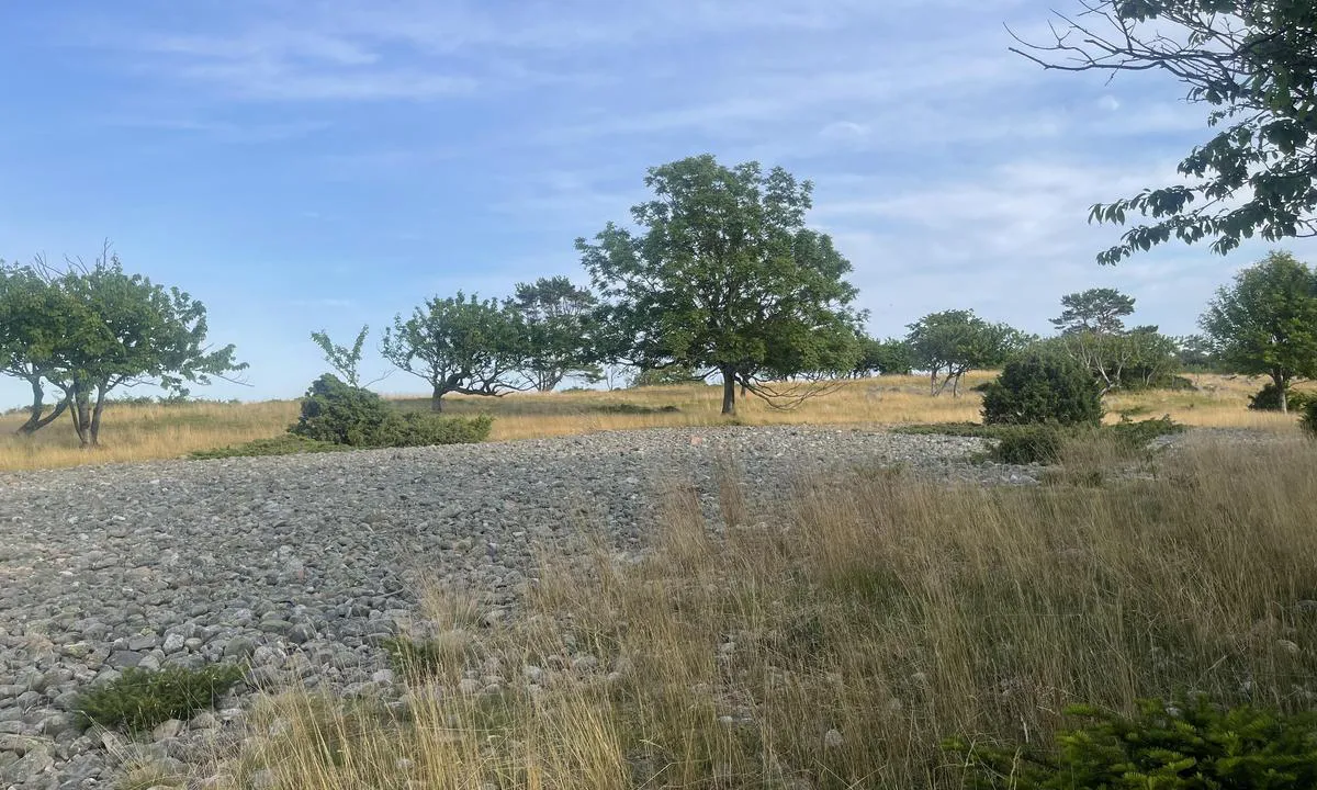 Tromlingene: {"base": "no", "no": "Veldig spesiell og fin natur p\u00e5 Tromlingane.", "se": "V\u00e4ldigt speciell och fin natur p\u00e5 Tromlingarna.", "en": "Very special and beautiful nature at Tromlingane.", "da": "Meget speciel og smuk natur p\u00e5 Tromlingane."}