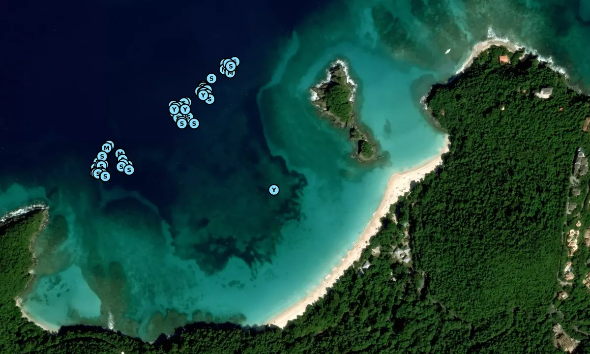 Satelite image of Trunk Bay (Moorings)