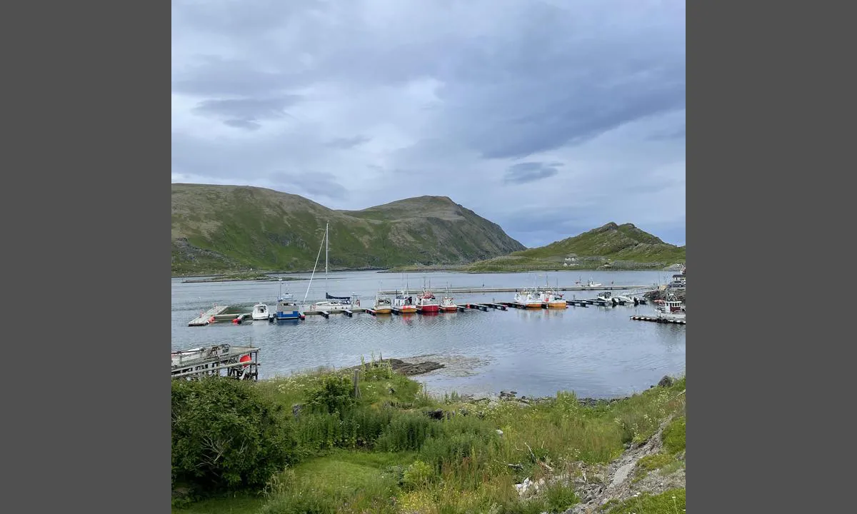 Tufjord - Måsøy: {"base": "no", "no": "Gjesteplasser ytterst p\u00e5 flytebryggen. Kontakt M\u00e5l\u00f8y havn. Se oppslag i havna.", "se": "G\u00e4stplatser ytterst p\u00e5 flytbryggan. Kontakta M\u00e5l\u00f8y hamn. Se anslag i hamnen.", "en": "Guest berths at the end of the floating dock. Contact M\u00e5l\u00f8y harbor. See notice in the harbor.", "da": "G\u00e6stepladser yderst p\u00e5 flydebroen. Kontakt M\u00e5l\u00f8y havn. Se opslag i havnen."}