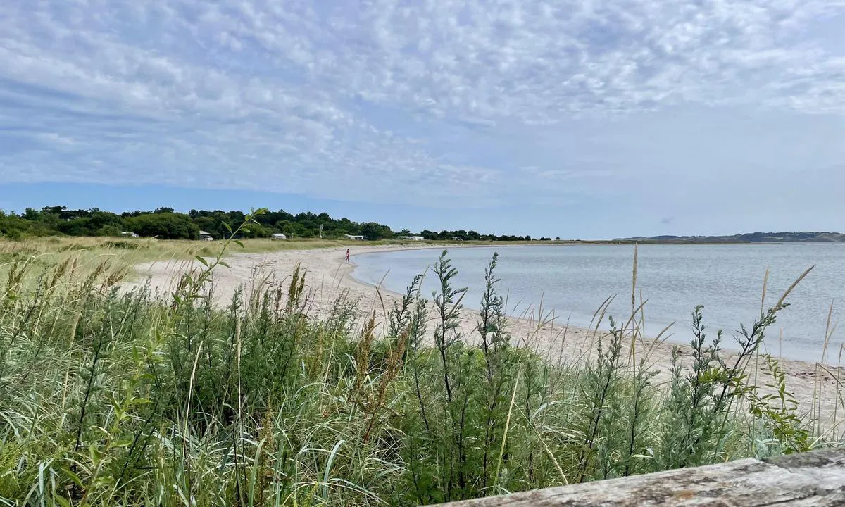 Tunø Havn: {"base": "no", "no": "Strand ved havna", "se": "Strand vid hamnen", "en": "Beach by the harbor", "da": "Strand ved havnen", "fr": "Plage pr\u00e8s du port", "de": "Strand am Hafen", "es": "Playa junto al puerto", "it": "Spiaggia presso il porto", "pt": "Praia junto ao porto", "nl": "Strand bij de haven", "pl": "Pla\u017ca przy porcie", "uk": "\u041f\u043b\u044f\u0436 \u0431\u0456\u043b\u044f \u0433\u0430\u0432\u0430\u043d\u0456", "ro": "Plaj\u0103 l\u00e2ng\u0103 port", "tr": "Limandaki plaj", "el": "\u03a0\u03b1\u03c1\u03b1\u03bb\u03af\u03b1 \u03ba\u03bf\u03bd\u03c4\u03ac \u03c3\u03c4\u03bf \u03bb\u03b9\u03bc\u03ac\u03bd\u03b9", "cs": "Pl\u00e1\u017e u p\u0159\u00edstavu", "hu": "Strand a kik\u00f6t\u0151n\u00e9l", "fi": "Ranta sataman vieress\u00e4", "bg": "\u041f\u043b\u0430\u0436 \u0434\u043e \u043f\u0440\u0438\u0441\u0442\u0430\u043d\u0438\u0449\u0435\u0442\u043e", "sr": "Pla\u017ea kod luke", "et": "Rand sadama \u00e4\u00e4res", "lv": "Pludmale pie ostas", "lt": "Papl\u016bdimys prie uosto"}