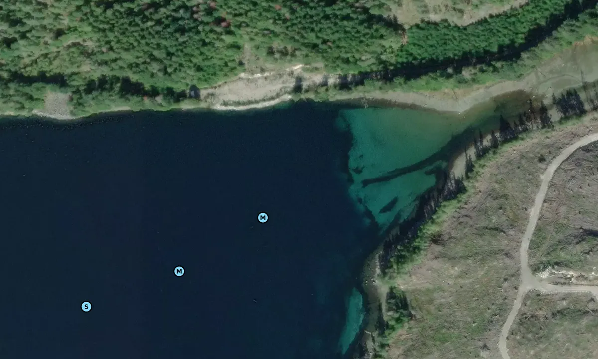 Satelite image of Turn Island