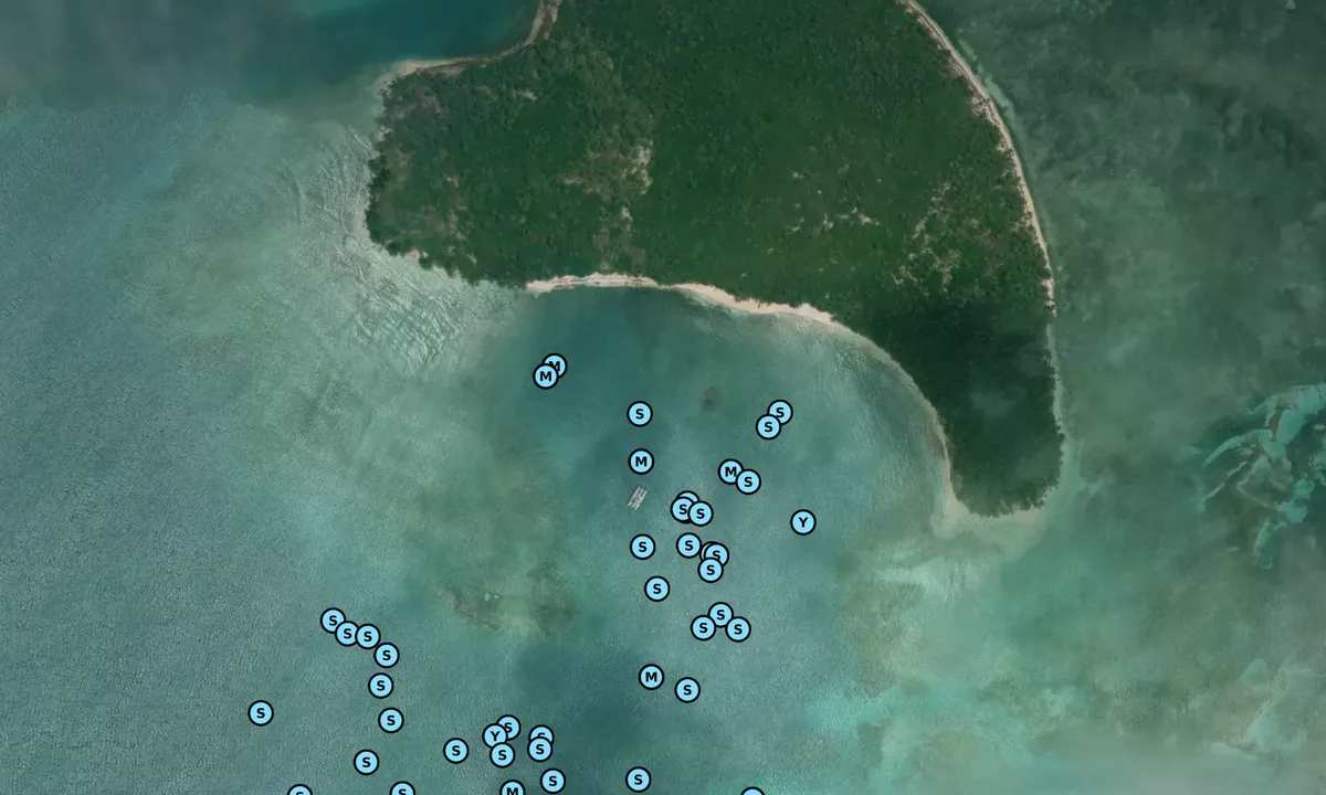 Satelite image of Turtle Island - South