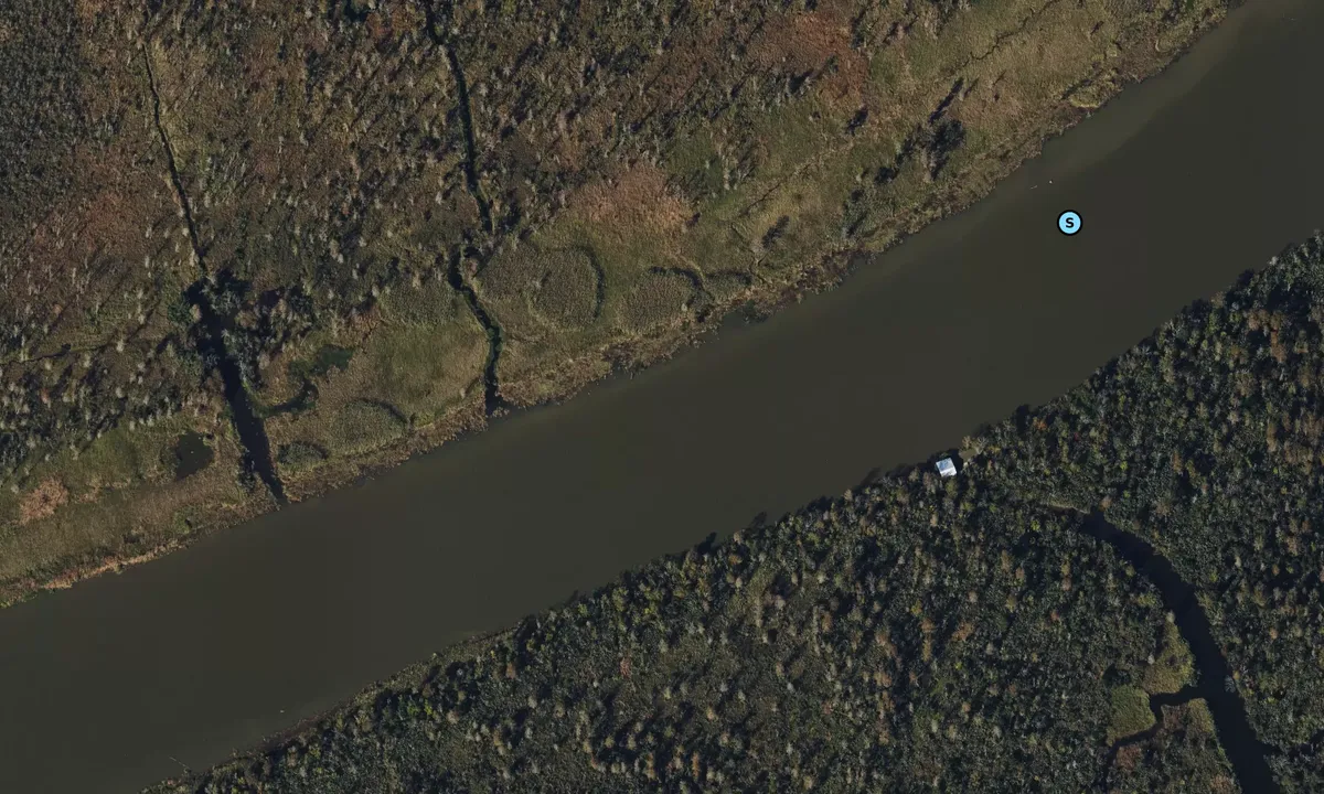 Satelite image of Twelvemile Island