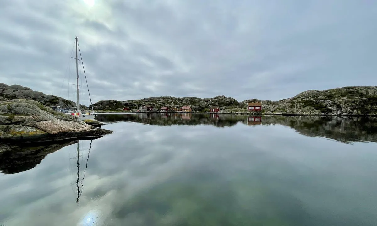 Udvår