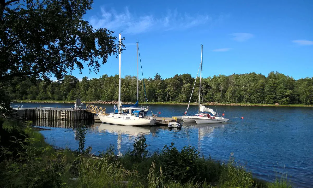 Ulko-tammio: {"base": "en", "no": "Havn, p\u00e5 h\u00f8yre side av katamaranen er det en farlig stein.", "se": "Hamn, p\u00e5 styrbord sida om katamaranen finns en farlig sten.", "en": "Harbour, on the right side of catamaran is dangerous rock.", "da": "Havn, p\u00e5 h\u00f8jre side af katamaranen er der en farlig klippe."}