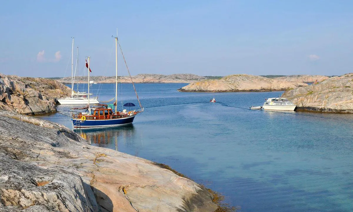 {"base": "se", "no": "Ulsholmen, juli 2009.", "se": "Ulsholmen, juli 2009.", "en": "Ulsholmen, July 2009.", "da": "Ulsholmen, juli 2009."}