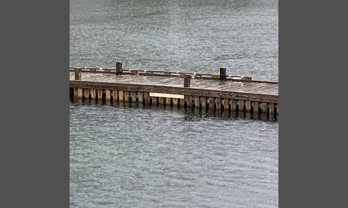 Ulvågen: {"base": "no", "no": "Skilt for gjestehavn.", "se": "Skylt f\u00f6r g\u00e4sthamn.", "en": "Sign for guest harbour.", "da": "Skilt for g\u00e6stehavn."}