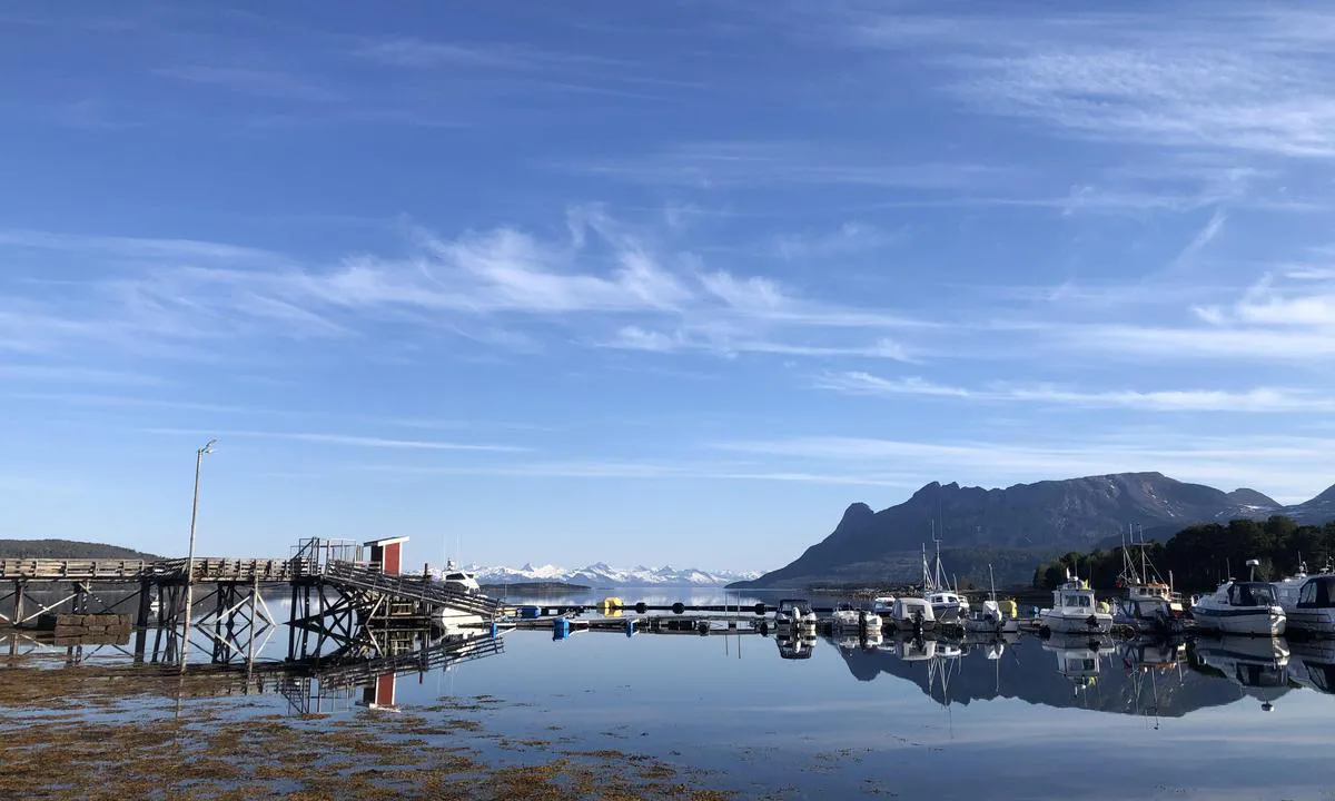 Ulvsvåg