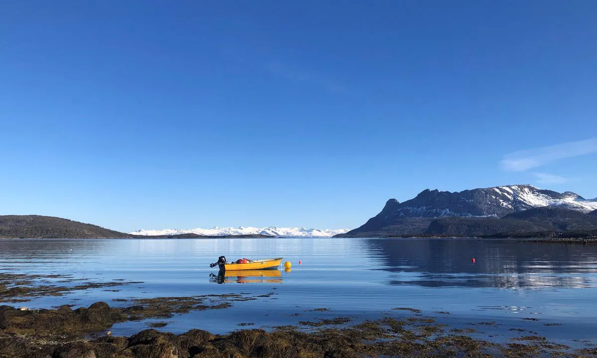 Ulvsvåg