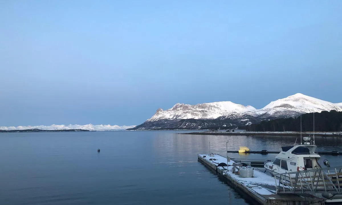 Ulvsvåg