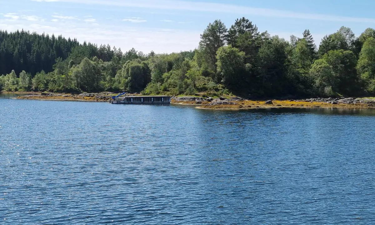 Undervågen: {"base": "no", "no": "Innover i v\u00e5gen, en badebrygge", "se": "In\u00e5t i v\u00e5gen, en badbrygga", "en": "Further into the bay, a swimming pier", "da": "Inde i bugten, en badebro"}
