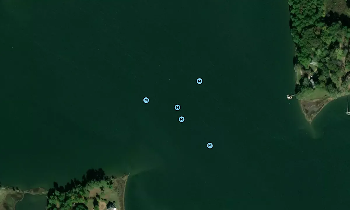 Satelite image of Upper Ware River