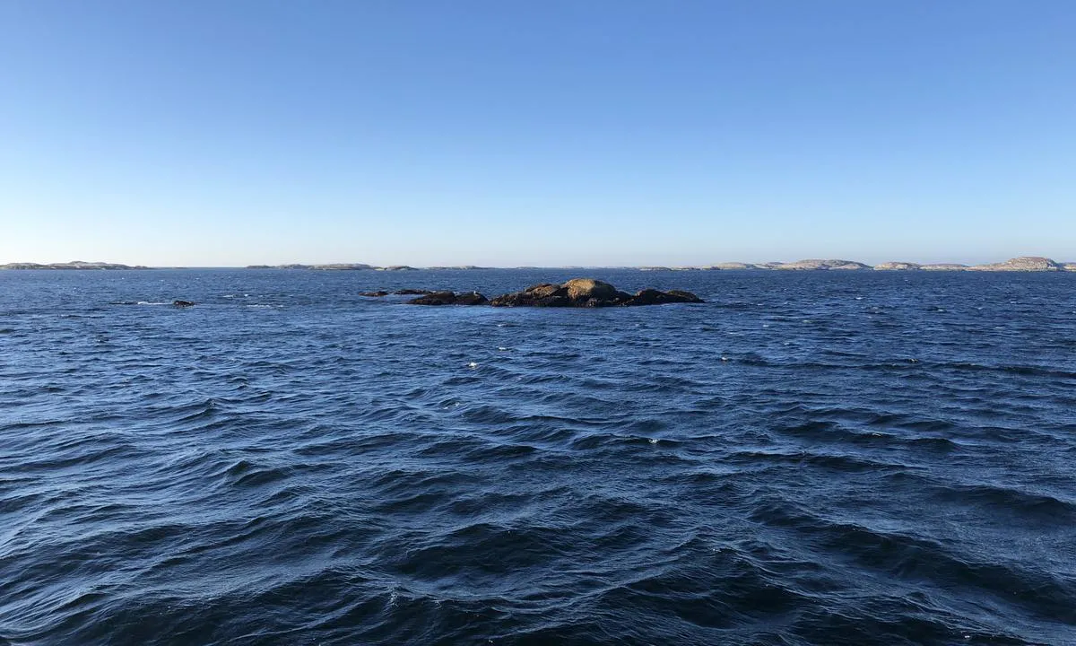 Urdøya: {"base": "no", "no": "V\u00e6r oppmerksom p\u00e5 umerkede skj\u00e6r n\u00e5r du seiler inn fra vest.", "se": "Var uppm\u00e4rksam p\u00e5 om\u00e4rkta sk\u00e4r n\u00e4r du seglar in fr\u00e5n v\u00e4ster.", "en": "Be aware of unmarked reefs when sailing in from the west.", "da": "V\u00e6r opm\u00e6rksom p\u00e5 u-markerede sk\u00e6r, n\u00e5r du sejler ind fra vest."}