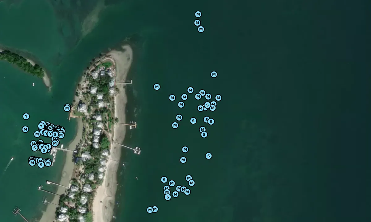 Satelite image of Useppa Northeast