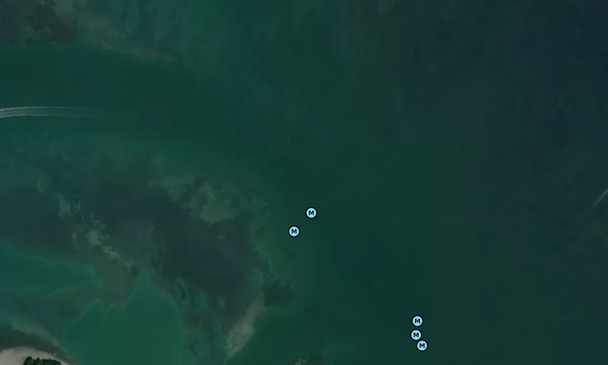 Satelite image of Useppa R4