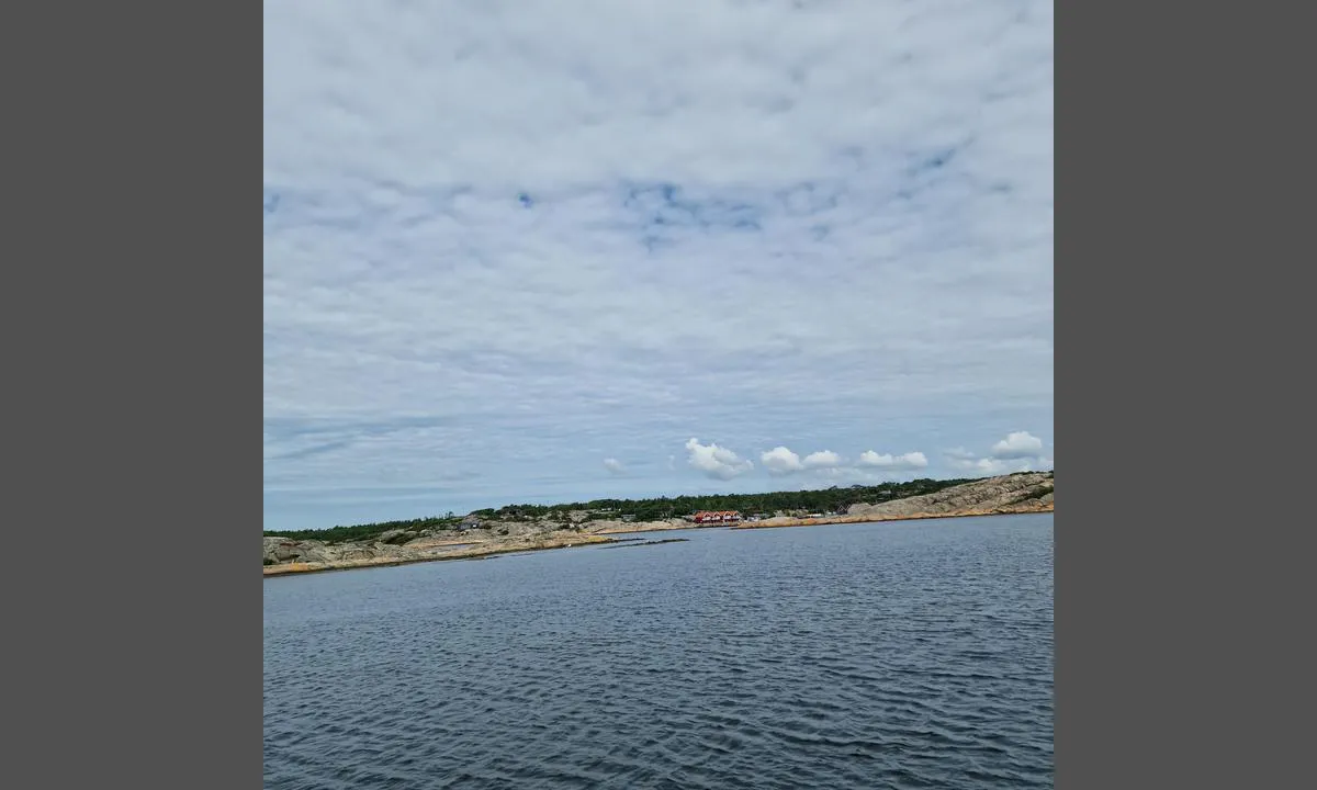Utgårdkilen - Vesterøy: {"base": "no", "no": "Nord fra b\u00f8y", "se": "Norr fr\u00e5n bojen", "en": "North from the buoy", "da": "Nord fra b\u00f8je"}