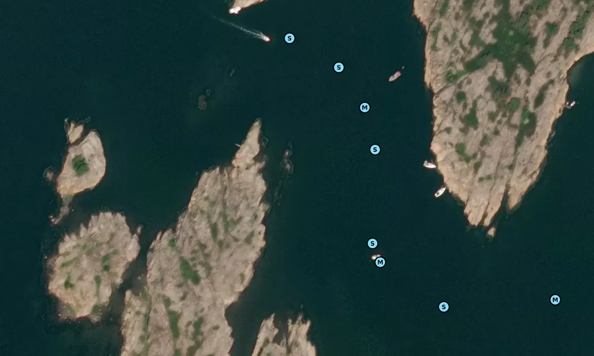Satelite image of Utgårdkilen - Vesterøy
