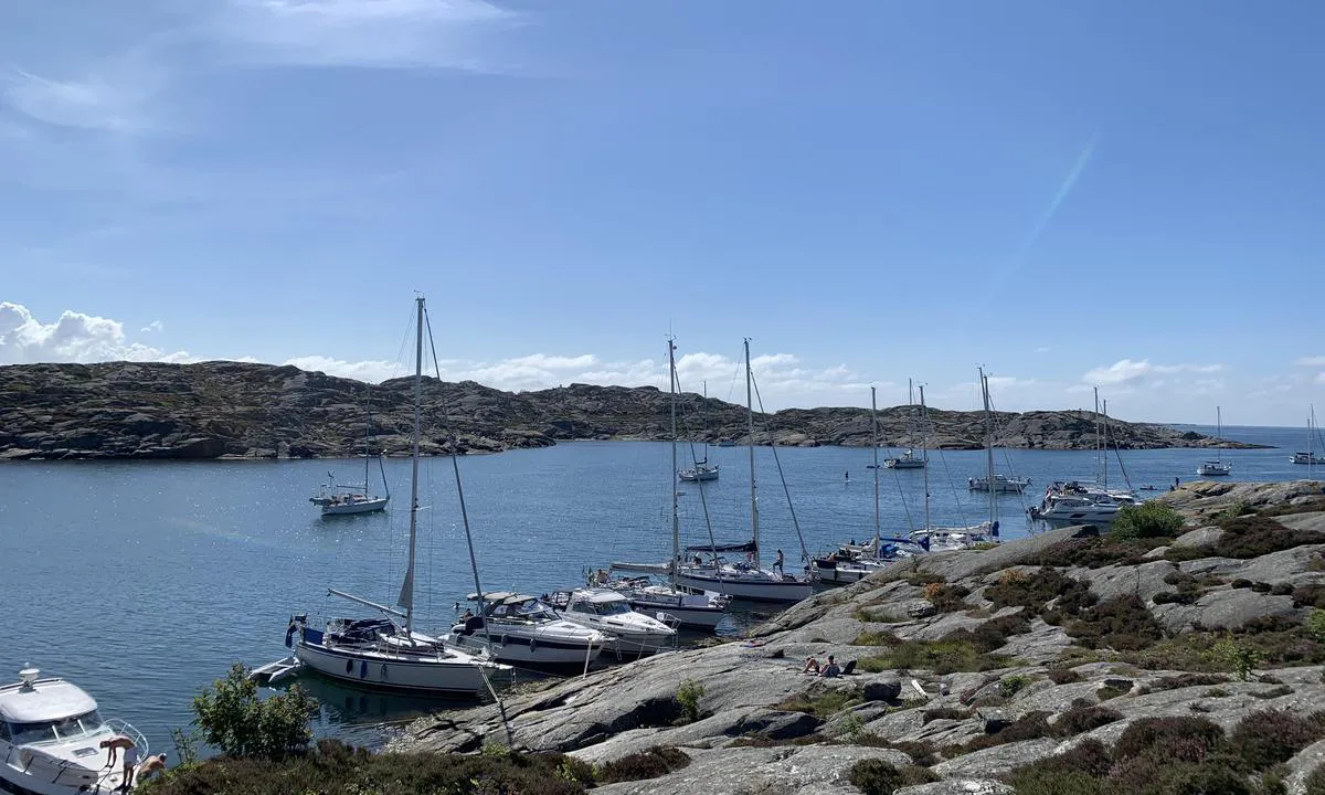 Utkäften: {"base": "no", "no": "Nedover p\u00e5 vestsiden. Der SXK har satt opp bolter er det god dybde for seilb\u00e5ter med baugen mot land.", "se": "Ned\u00e5t p\u00e5 v\u00e4stsidan. D\u00e4r SXK har satt upp bultar \u00e4r det bra djup f\u00f6r segelb\u00e5tar med f\u00f6ren mot land.", "en": "Down on the west side. Where SXK has placed bolts, there is good depth for sailboats with the bow towards the shore.", "da": "Nedover p\u00e5 vestsiden. Der SXK har sat bolte op, er der god dybde for sejlb\u00e5de med st\u00e6vnen mod land."}