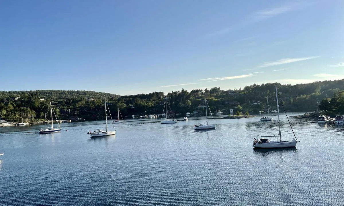 Vadholmen: {"base": "no", "no": "God holdebunn, 10-12 meters dybde og godt skjermet. Kan v\u00e6re noe eksponert for s\u00f8r\u00f8stlig vind. Byn\u00e6rt og ofte mange b\u00e5ter p\u00e5 trebryggen til h\u00f8yre i bildet. Foto: Bengt Enersg\u00e5rd", "se": "Bra ankarbotten, 10-12 meters djup och bra skyddat. Kan vara n\u00e5got exponerat f\u00f6r sydostlig vind. N\u00e4rhet till stan och ofta m\u00e5nga b\u00e5tar vid tr\u00e4bryggan till h\u00f6ger p\u00e5 bilden. Foto: Bengt Enersg\u00e5rd", "en": "Good holding ground, 10-12 meters depth and well sheltered. Can be somewhat exposed to southeast winds. Close to the town and often many boats on the wooden pier to the right in the picture. Photo: Bengt Enersg\u00e5rd", "da": "Godt ankerbund, 10-12 meters dybde og godt beskyttet. Kan v\u00e6re noget udsat for syd\u00f8stlig vind. Byen er t\u00e6t p\u00e5, og der er ofte mange b\u00e5de ved tr\u00e6broen til h\u00f8jre p\u00e5 billedet. Foto: Bengt Enersg\u00e5rd"}