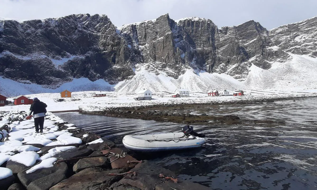 Værøy i Lofoten: Not easy to find a place to come ashore, but that one was okay!.