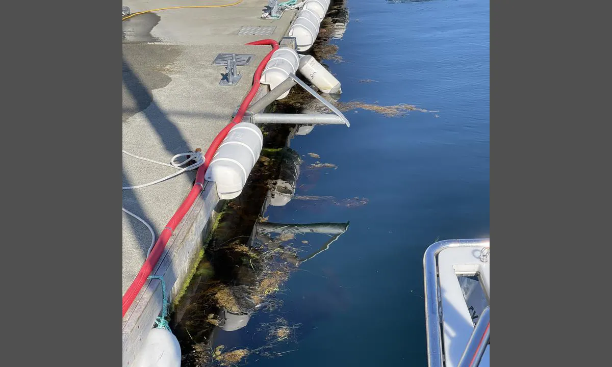 Værøya: {"base": "no", "no": "Tydelig signal.. hold deg unna..!", "se": "Tydlig signal.. h\u00e5ll dig undan..!", "en": "Clear signal.. stay away..!", "da": "Tydeligt signal.. hold dig v\u00e6k..!"}