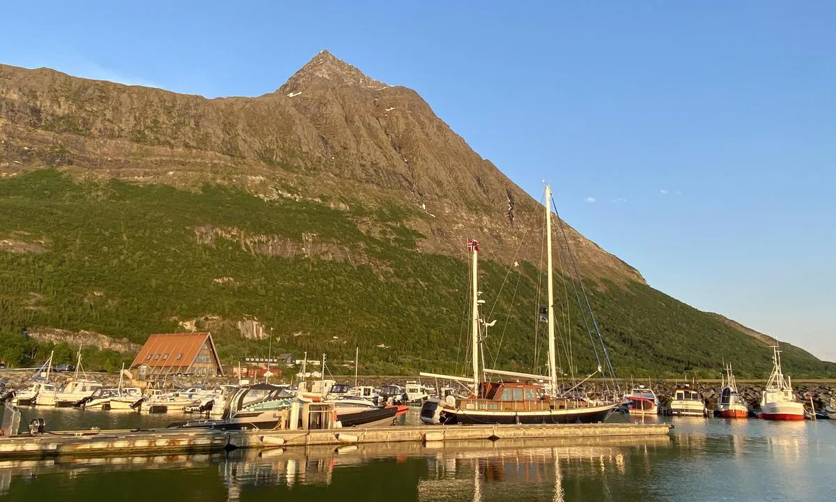 Våg Havn - Sandhornøy: 25.05.24