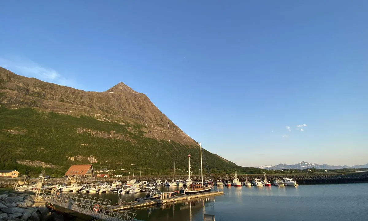 Våg Havn - Sandhornøy: 25.05.24