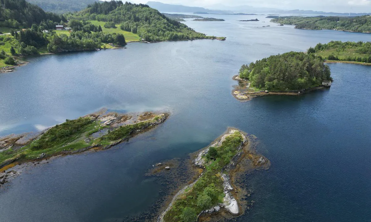 Vågsvågen - Korssund