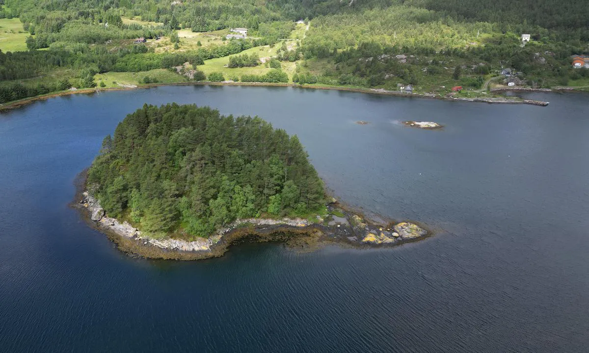 Vågsvågen - Korssund
