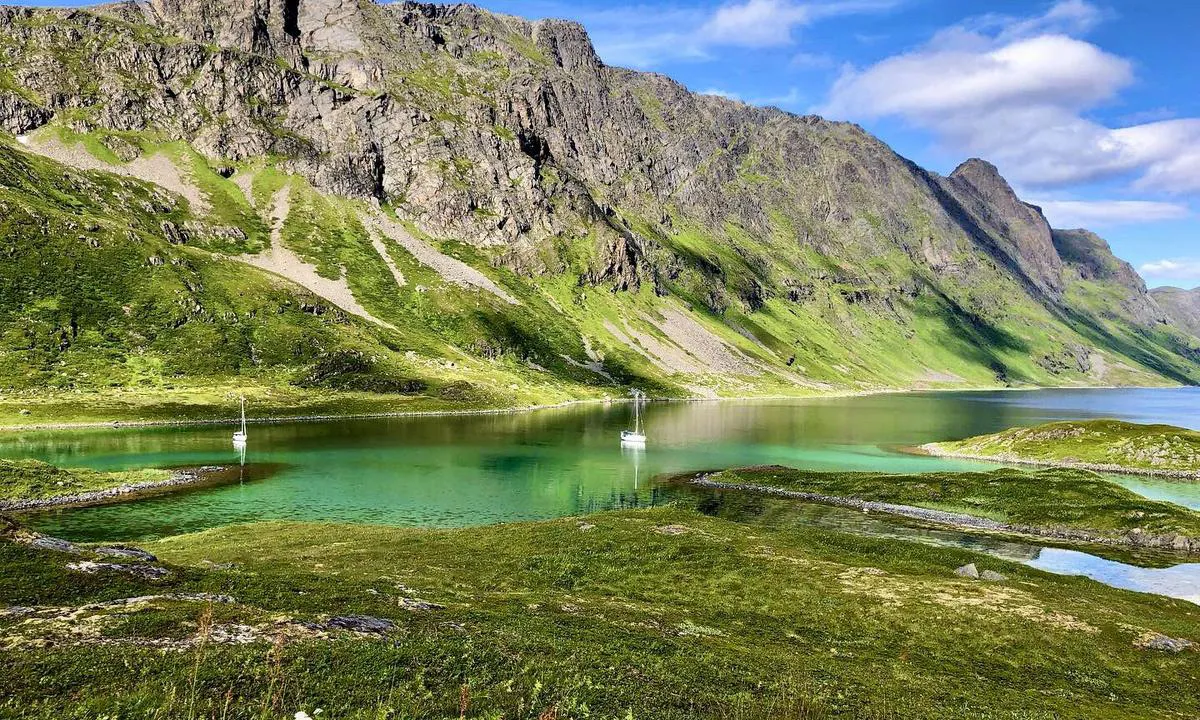 Valen i Kipparfjorden