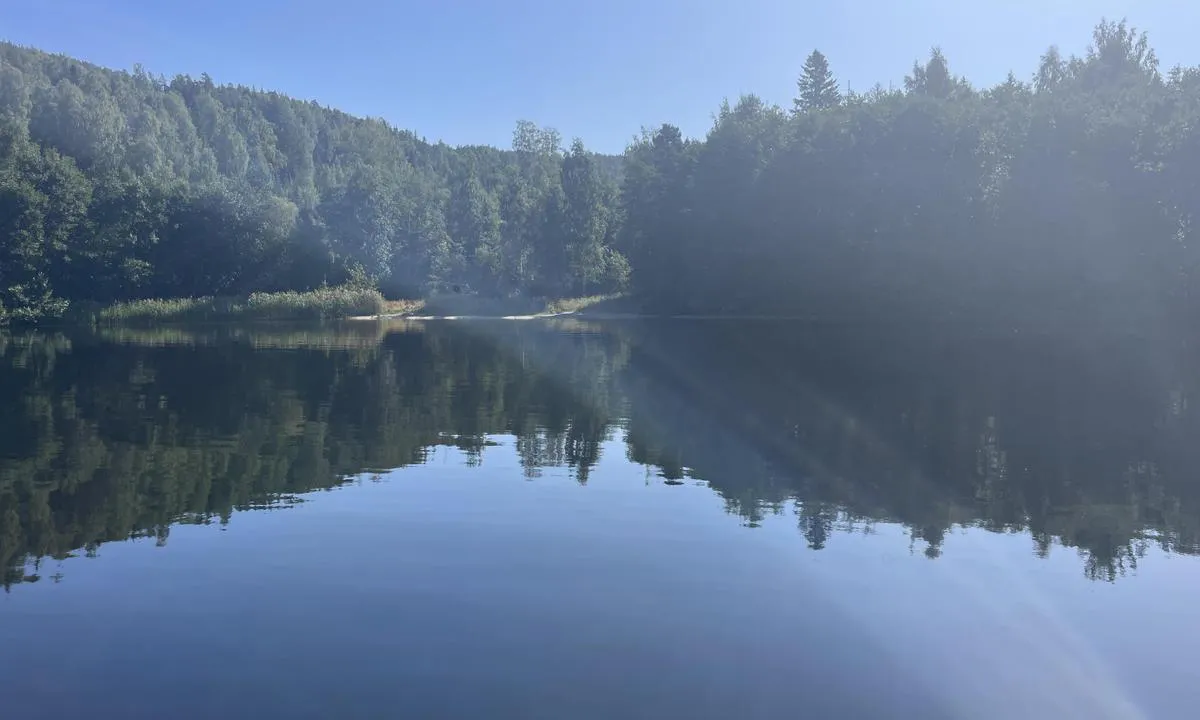 Valkallen Lövvik