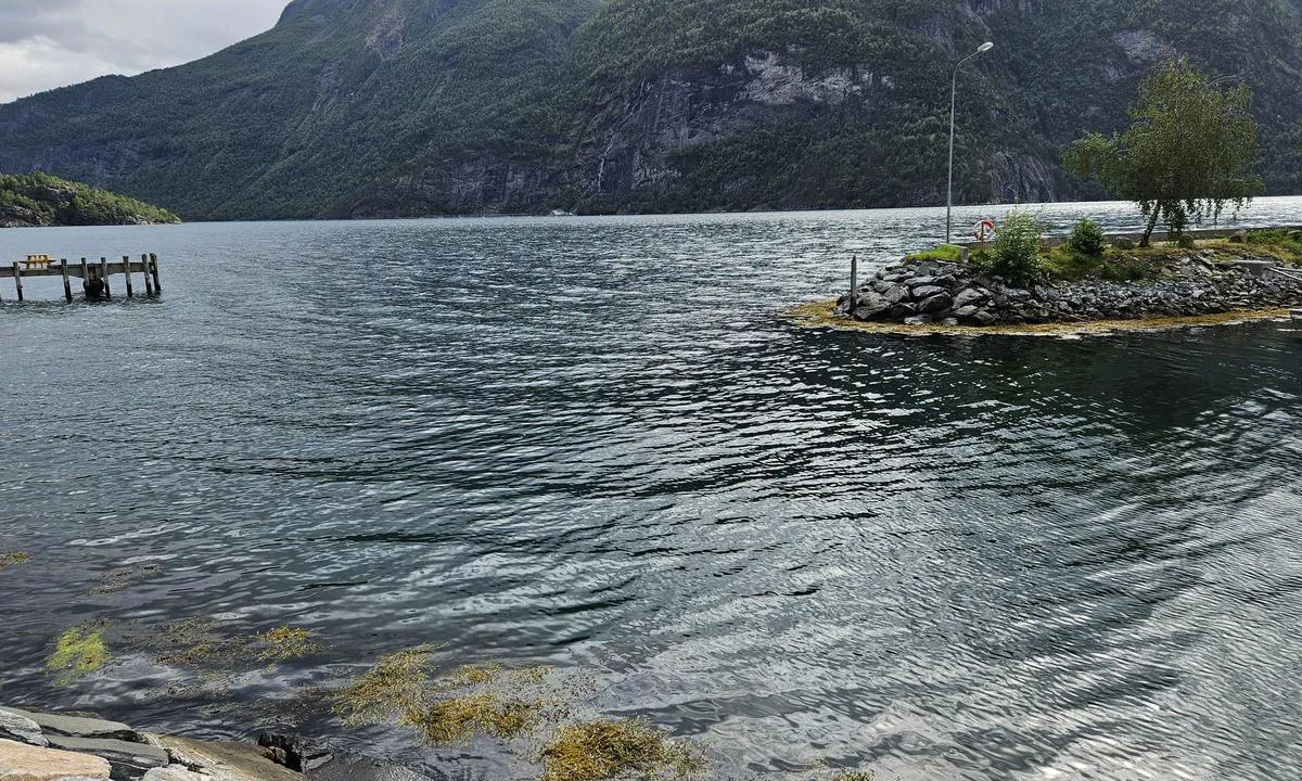 Valldal Marina: {"base": "no", "no": "Innseiling til havnen", "se": "Insegling till hamnen", "en": "Entrance to the harbor", "da": "Indsejling til havnen"}
