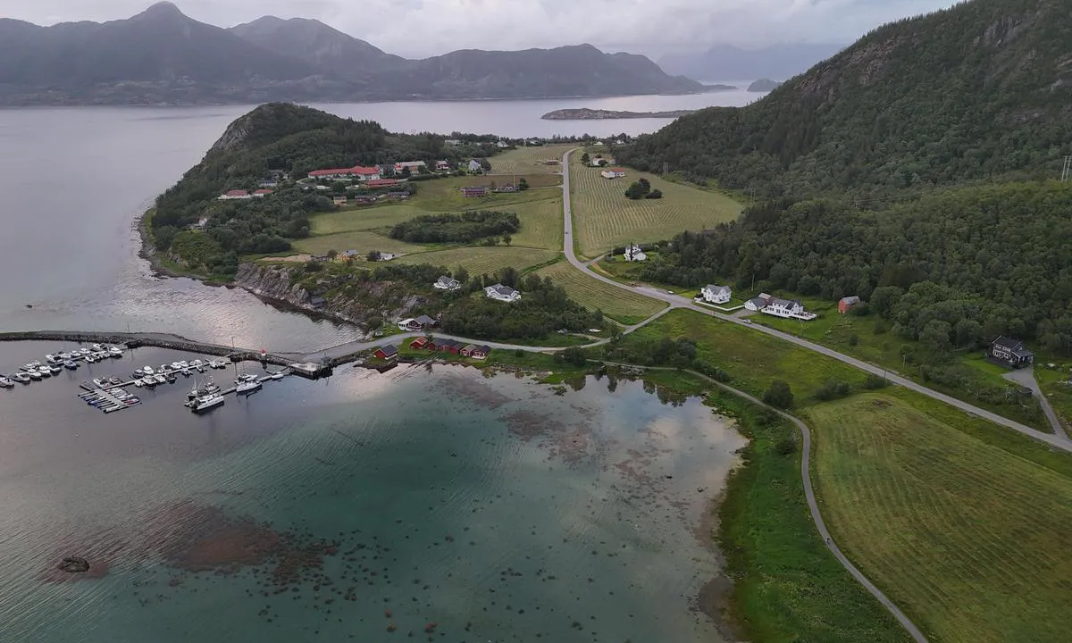 Vallvågen
