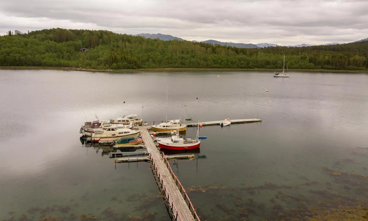 Valvågen