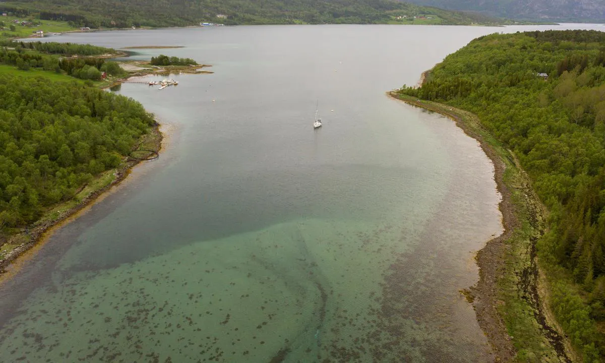 Valvågen