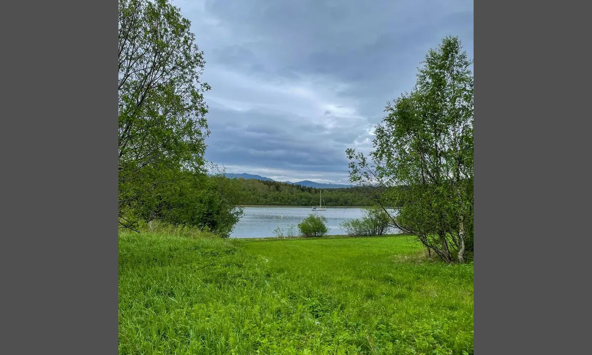 Valvågen