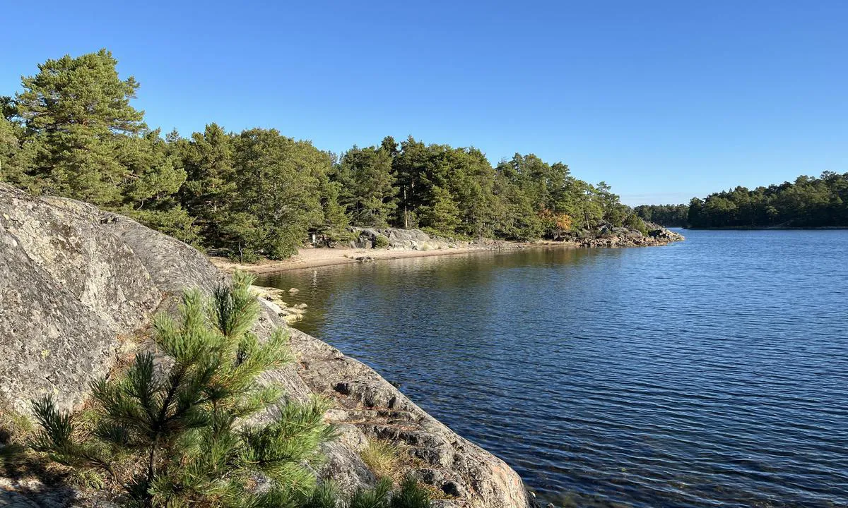 Vånsholmen (Skarprunmarn): {"base": "en", "no": "Sandstrand (ogs\u00e5 godt for kajakker)", "se": "Sandstrand (\u00e4ven bra f\u00f6r kajaker)", "en": "Sandbeach (also good for kayaks)", "da": "Sandstrand (ogs\u00e5 god for kajakker)", "fr": "Plage de sable (aussi bonne pour les kayaks)", "de": "Sandstrand (auch gut f\u00fcr Kajaks)", "es": "Playa de arena (tambi\u00e9n buena para kayaks)", "it": "Spiaggia di sabbia (anche buona per kayak)", "pt": "Praia de Areia (tamb\u00e9m bom para caiaques)", "nl": "Zandstrand (ook geschikt voor kajaks)", "pl": "Piaszczysta pla\u017ca (tak\u017ce dobra dla kajak\u00f3w)", "uk": "\u041f\u0456\u0449\u0430\u043d\u0438\u0439 \u043f\u043b\u044f\u0436 (\u0442\u0430\u043a\u043e\u0436 \u043f\u0456\u0434\u0445\u043e\u0434\u0438\u0442\u044c \u0434\u043b\u044f \u043a\u0430\u044f\u043a\u0456\u0432)", "ro": "Plaj\u0103 cu nisip (bun\u0103 \u0219i pentru caiace)", "tr": "Kum Plaj\u0131 (ayr\u0131ca kanolar i\u00e7in de uygun)", "el": "\u0391\u03bc\u03bc\u03ce\u03b4\u03b7\u03c2 \u03c0\u03b1\u03c1\u03b1\u03bb\u03af\u03b1 (\u03b5\u03c0\u03af\u03c3\u03b7\u03c2 \u03ba\u03b1\u03bb\u03cc \u03b3\u03b9\u03b1 \u03ba\u03b1\u03b3\u03b9\u03ac\u03ba)", "cs": "P\u00eds\u010dit\u00e1 pl\u00e1\u017e (tak\u00e9 dobr\u00e1 pro kajaky)", "hu": "Homokos part (kajakok sz\u00e1m\u00e1ra is megfelel\u0151)", "fi": "Hiekkaranta (my\u00f6s sopii kajakeille)", "bg": "\u041f\u044f\u0441\u044a\u0447\u0435\u043d \u043f\u043b\u0430\u0436 (\u043f\u043e\u0434\u0445\u043e\u0434\u044f\u0449 \u0438 \u0437\u0430 \u043a\u0430\u044f\u0446\u0438)", "sr": "\u041f\u0435\u0441\u043a\u043e\u0432\u0438\u0442\u0430 \u043f\u043b\u0430\u0436\u0430 (\u0442\u0430\u043a\u043e\u0452\u0435 \u0434\u043e\u0431\u0440\u0430 \u0437\u0430 \u043a\u0430\u0458\u0430\u043a\u0435)", "et": "Liivarand (sobib ka s\u00fcstadele)", "lv": "Smil\u0161u pludmale (piem\u0113rota ar\u012b kajakiem)", "lt": "Sm\u0117lio papl\u016bdimys (taip pat tinkamas ir baidar\u0117ms)"}