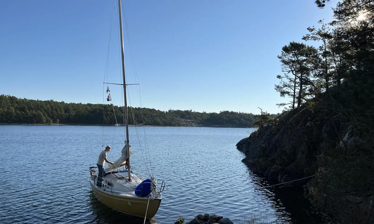 Vånsholmen (Skarprunmarn)