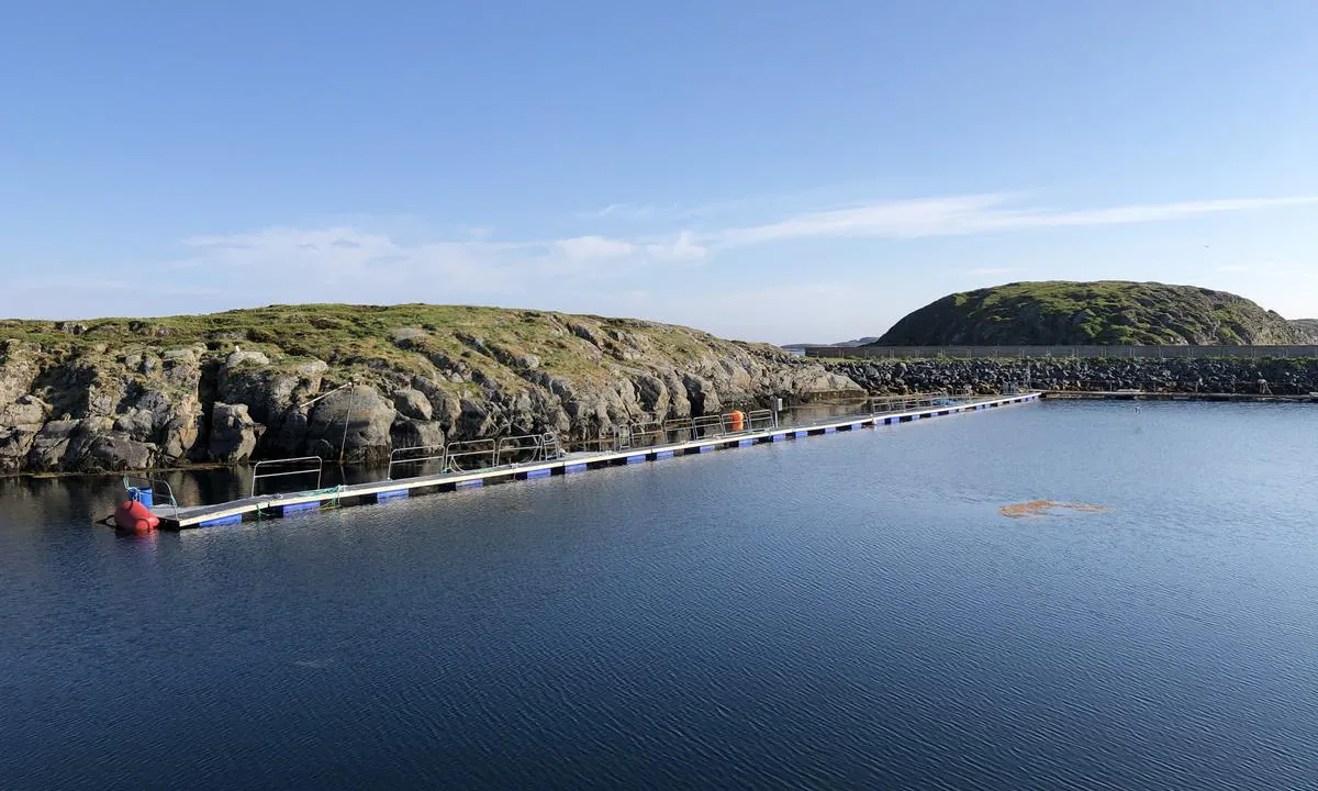 Det er et stort anlegg med flytebrygger i Vansøyvågen (dobbelt så mye som vises på dette bildet). Det er bygget for å støtte fiskeflåten og ikke som gjestebrygge, men når dette bildet ble tatt i juni 2021 var alle bryggene ledige og hele havna ganske søvnig.