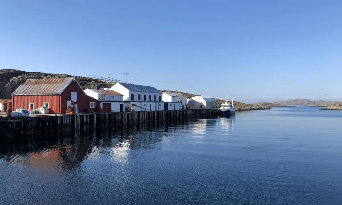 Vansøyvågen er en liten og godt beskyttet havn. Den har et industrielt preg som fiskemottak.