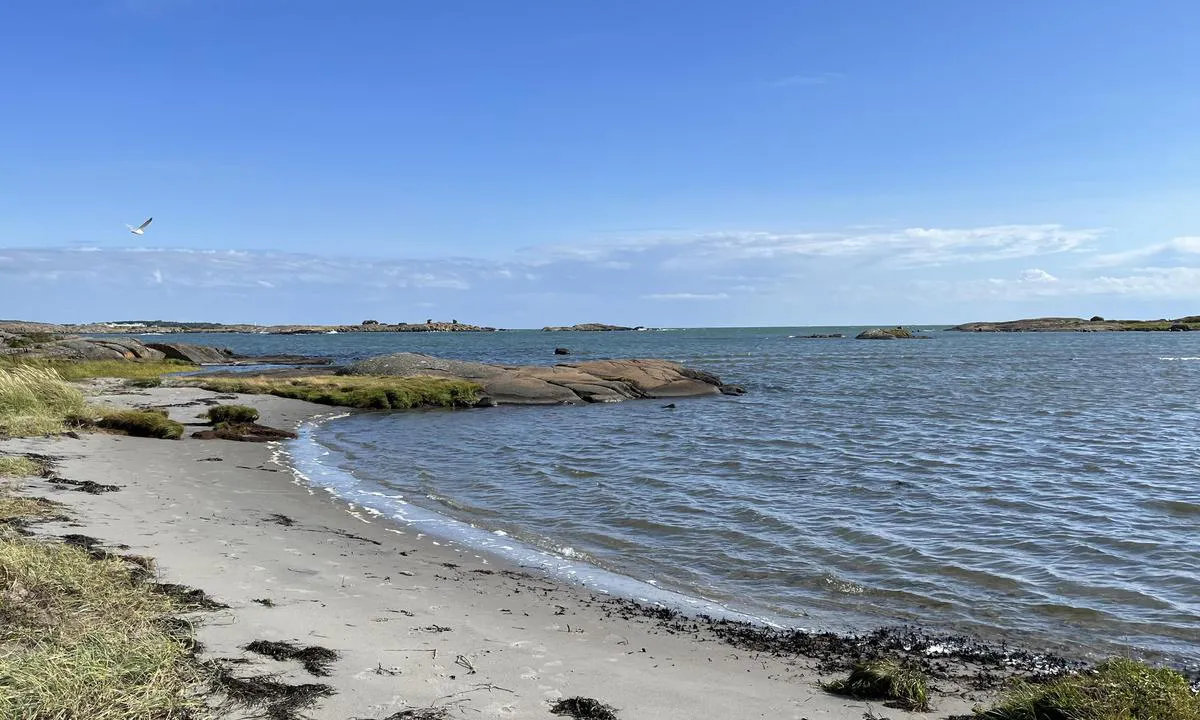 Varberg - Getterön Marina: Flere flotte strender i nærheten