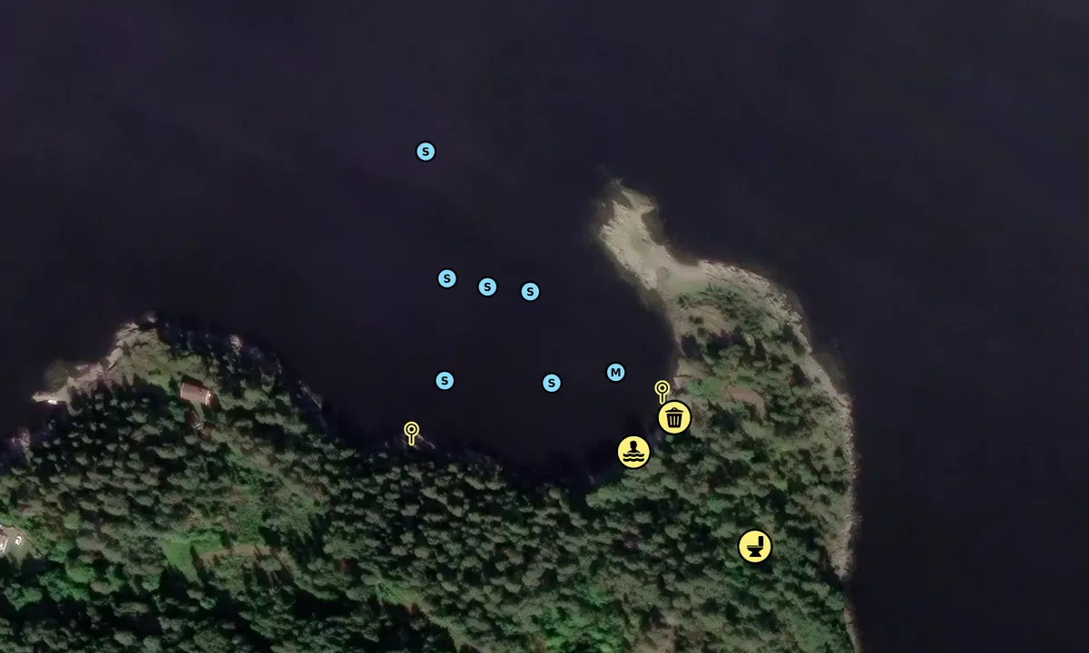 Satelite image of Varnestangen