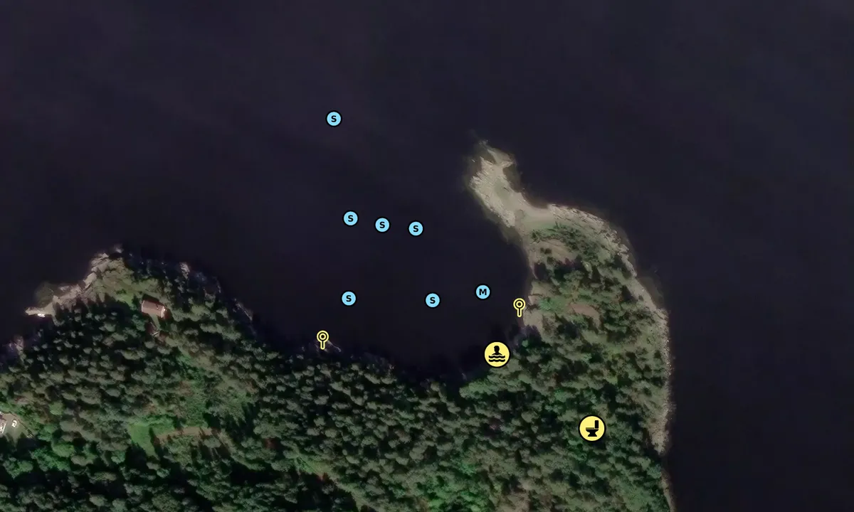 Satelite image of Varnestangen