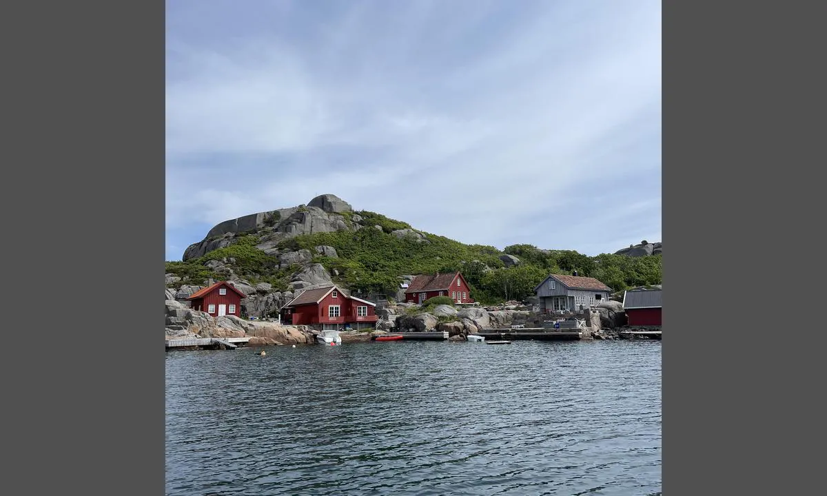 Gulaberget - Våre