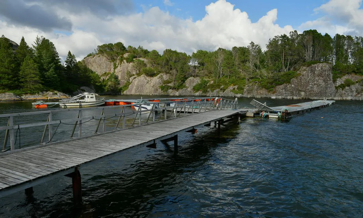 Vassdalvika: Floating jetty. not in too good shape, and som places marked Privat.