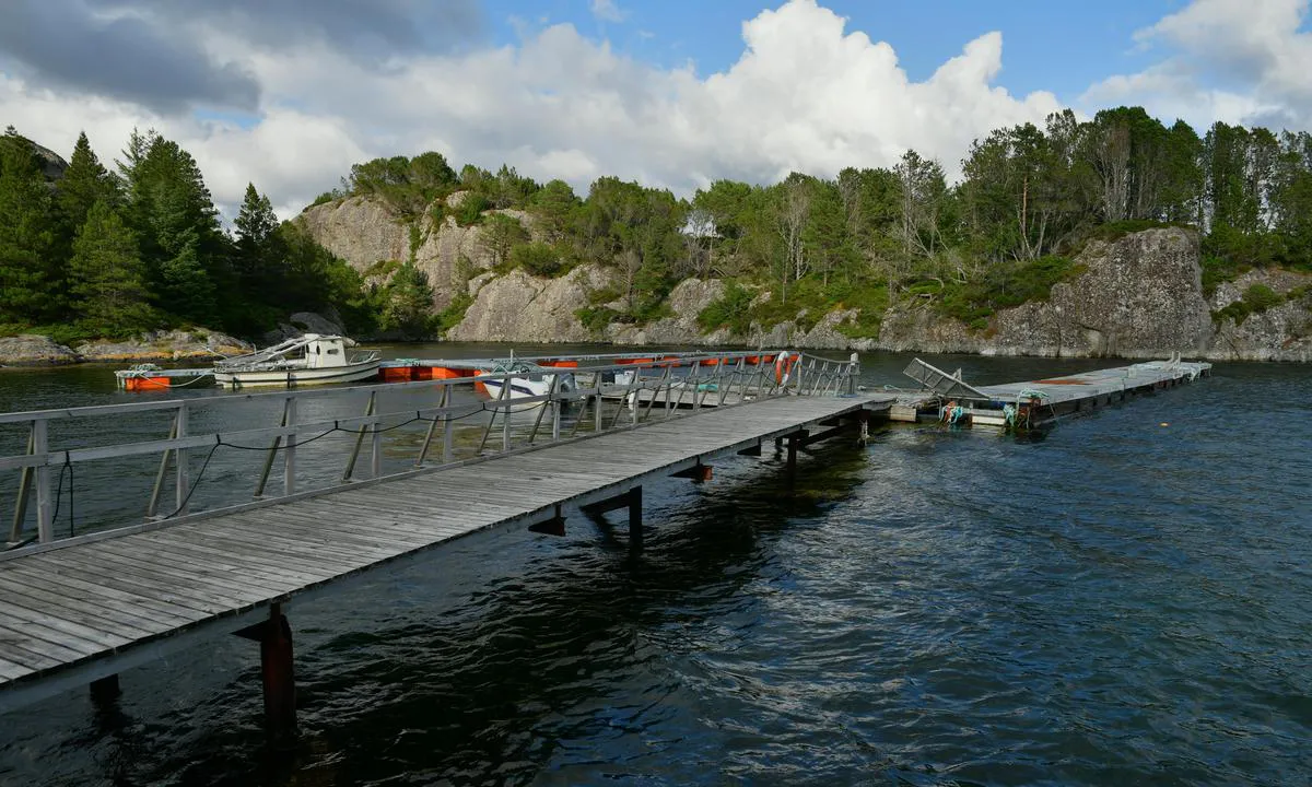 Vassdalvika: {"base": "en", "no": "Flytebrygge. Ikke i for god stand, og noen steder merket Privat.", "se": "Flytbrygga. Inte i f\u00f6r bra skick och vissa platser markerade Privat.", "en": "Floating jetty. not in too good shape, and som places marked Privat.", "da": "Flydeponton. Ikke i for god stand, og nogle steder markeret Privat."}