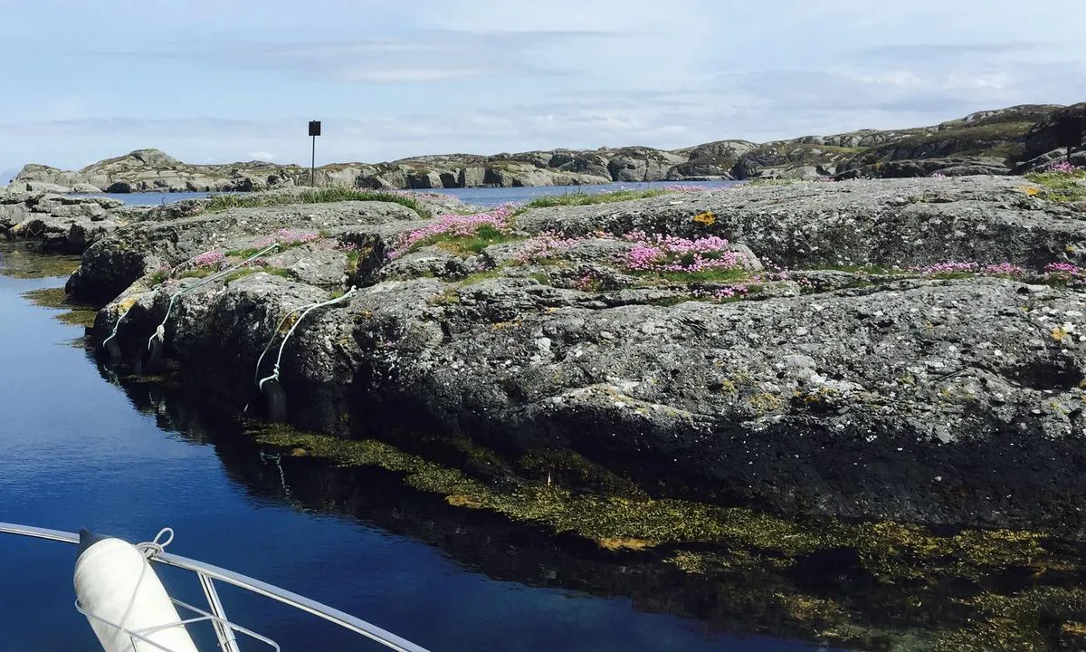 Vassøyene: {"base": "no", "no": "Fendret langs fjellet ett sted. Her er og skilt som informerer om fuglereservat og ilandstigningstider.", "se": "Fendrat l\u00e4ngs berget p\u00e5 en plats. H\u00e4r finns ocks\u00e5 skyltar som informerar om f\u00e5gelreservat och ilandstigningstider.", "en": "Fenders placed along the cliff at one location. There are also signs here that inform about the bird sanctuary and landing times.", "da": "Fendret langs fjeldet \u00e9t sted. Her er ogs\u00e5 skilte, der informerer om fuglereservat og ilandstigningstider."}