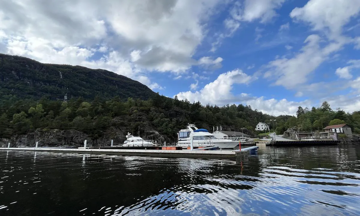 Vatlandsvåg